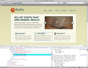 firebug1