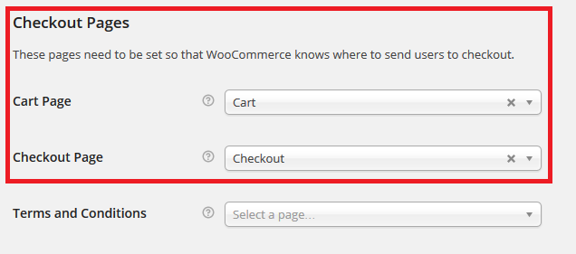 13.Checkout-Options