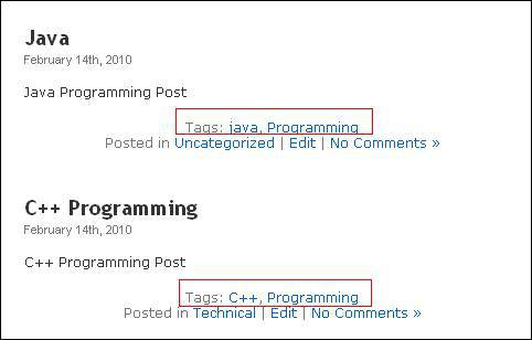 Types of Content in WordPress tag Programming
