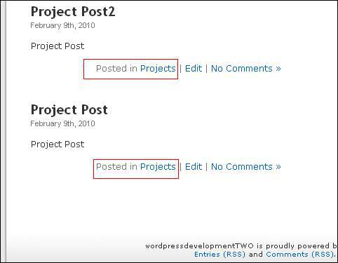 Types of Content in WordPress use the loop