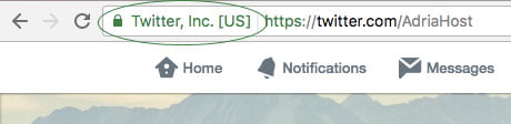 ssl sertifikat sa zelenom trakom