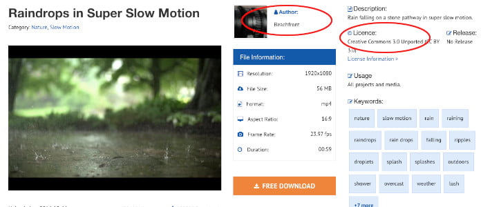videvo free videos