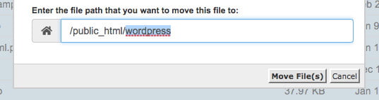 wordpress