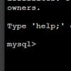 How to export or import database in MySQL or MariaDB